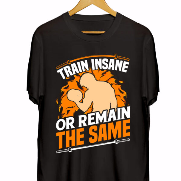 TRAIN INSANE OR REMAIN THESAME